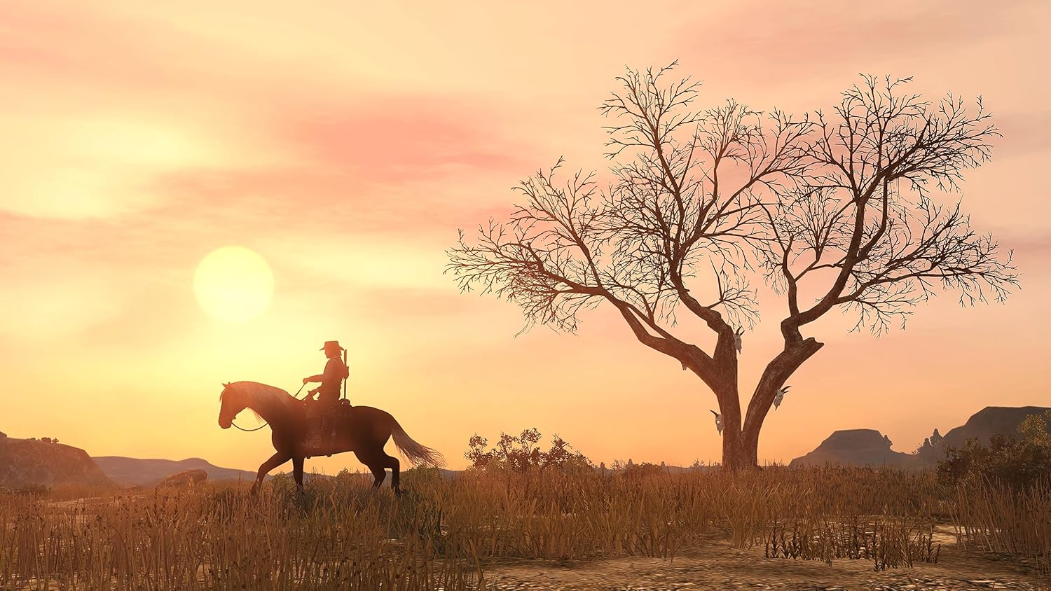 Red Dead Redemption - PlayStation 4 PS4
