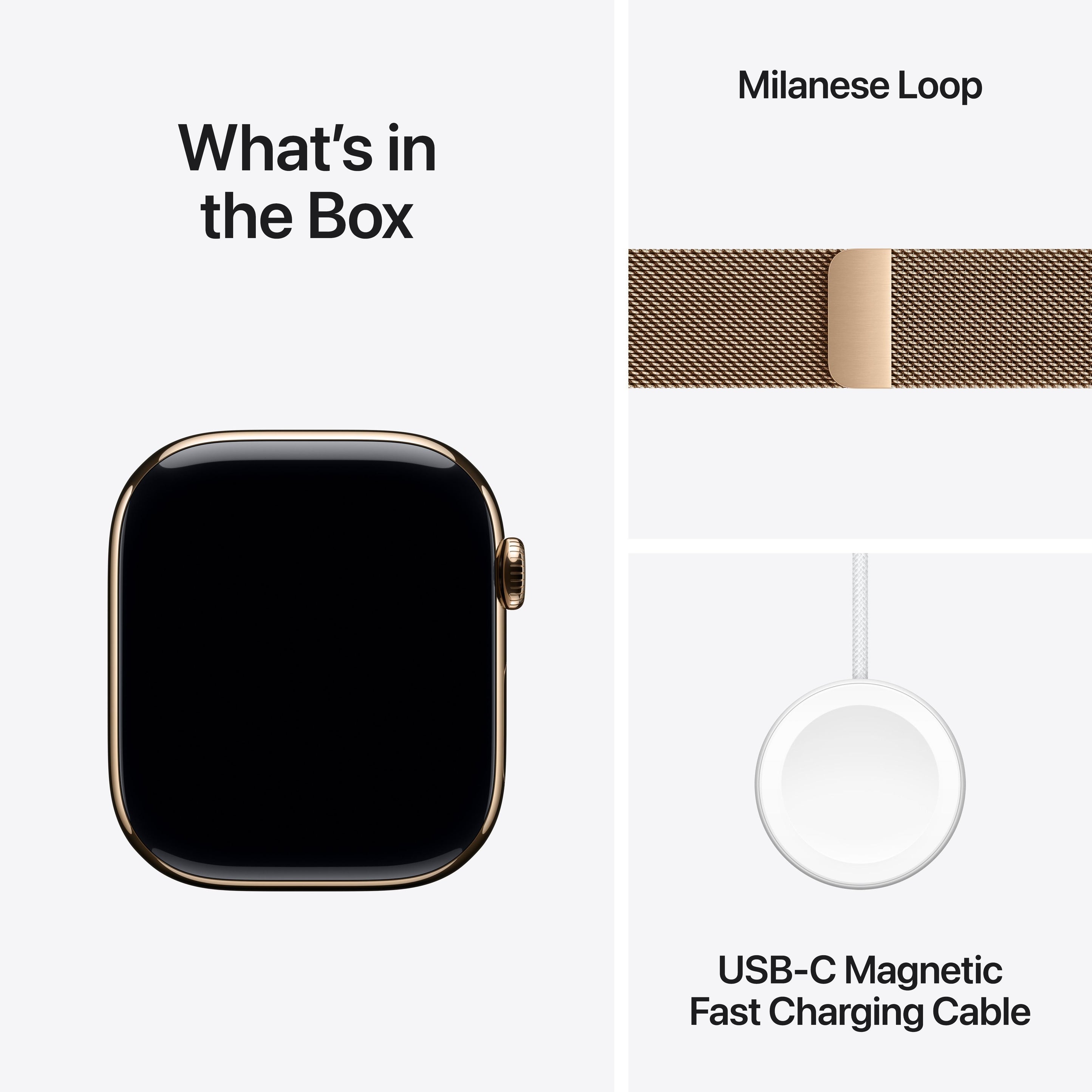 Apple Watch Series 10 Titanium Case with Milanese Loop