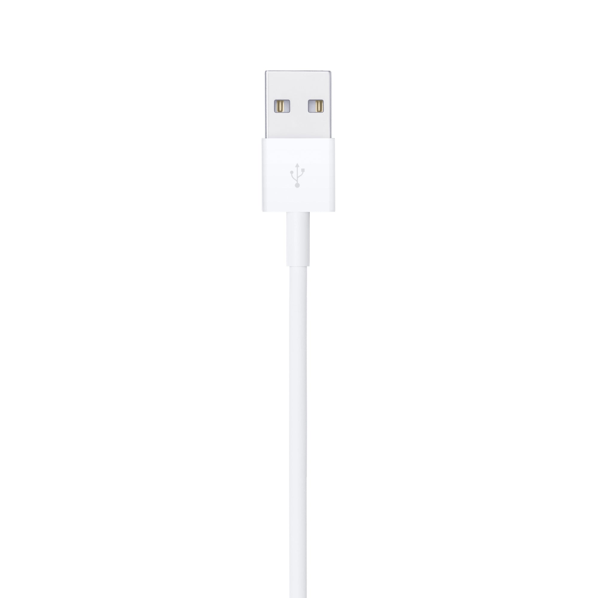 Lightning to USB Cable (1m)