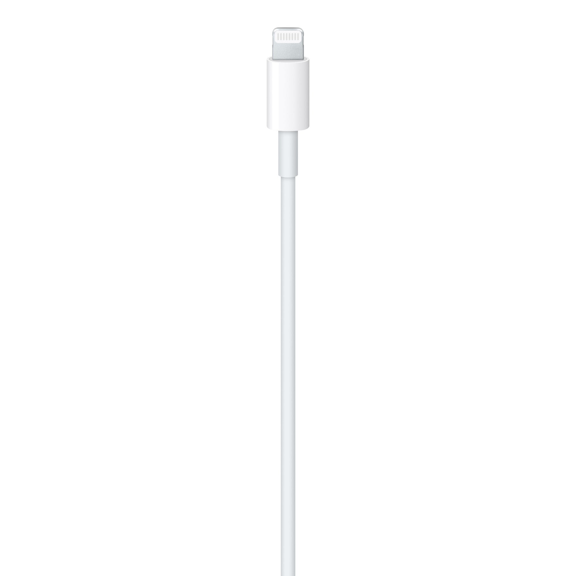 كابل Apple Lightning إلى USB (2 متر) 