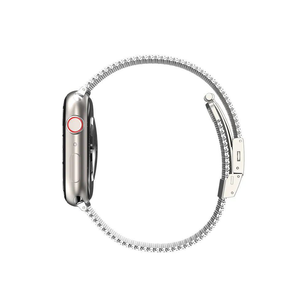 Apple Watch 10 42mm Amazingthing Titan Metal Mesh Band Silver
