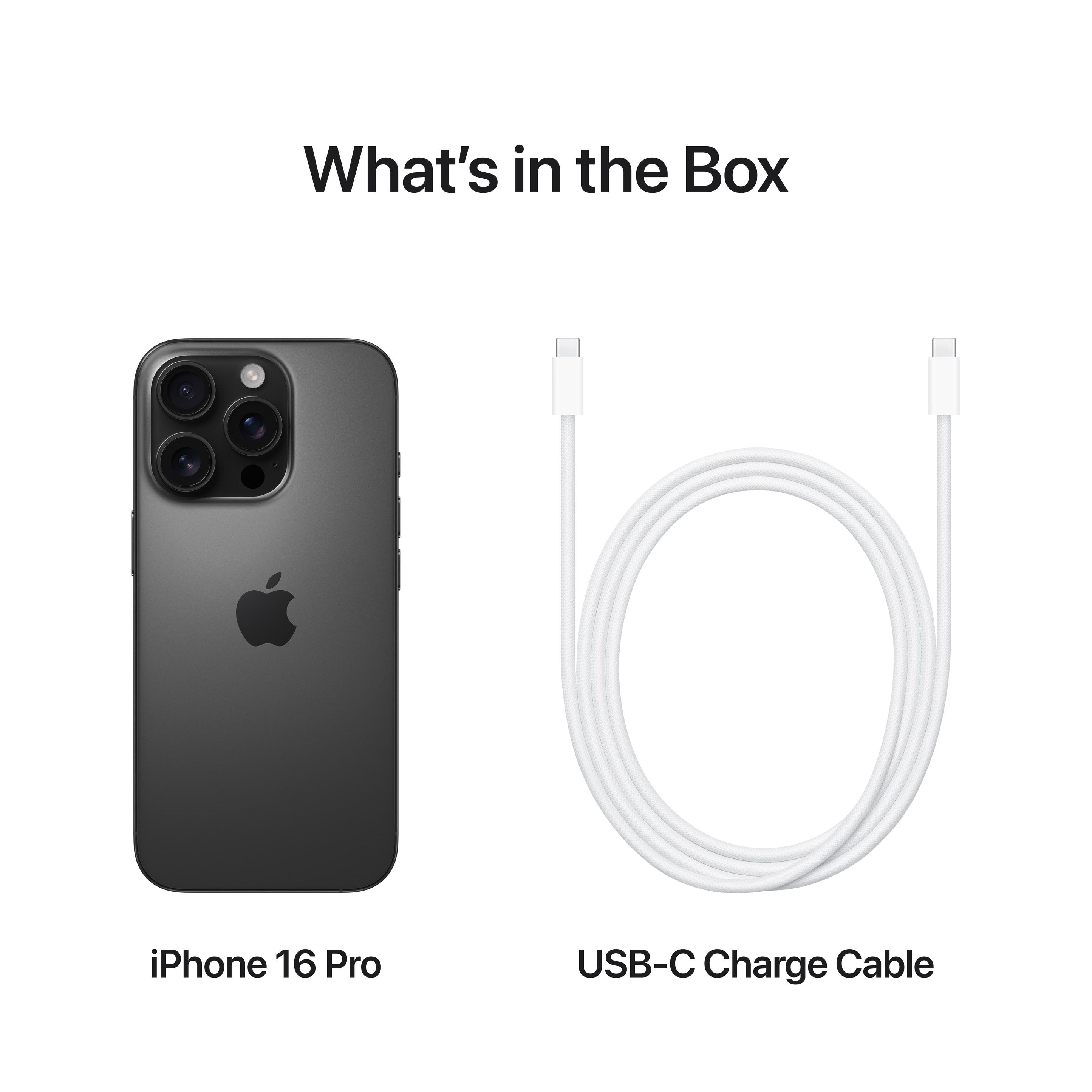 iPhone 16 Pro & 16 Pro Max