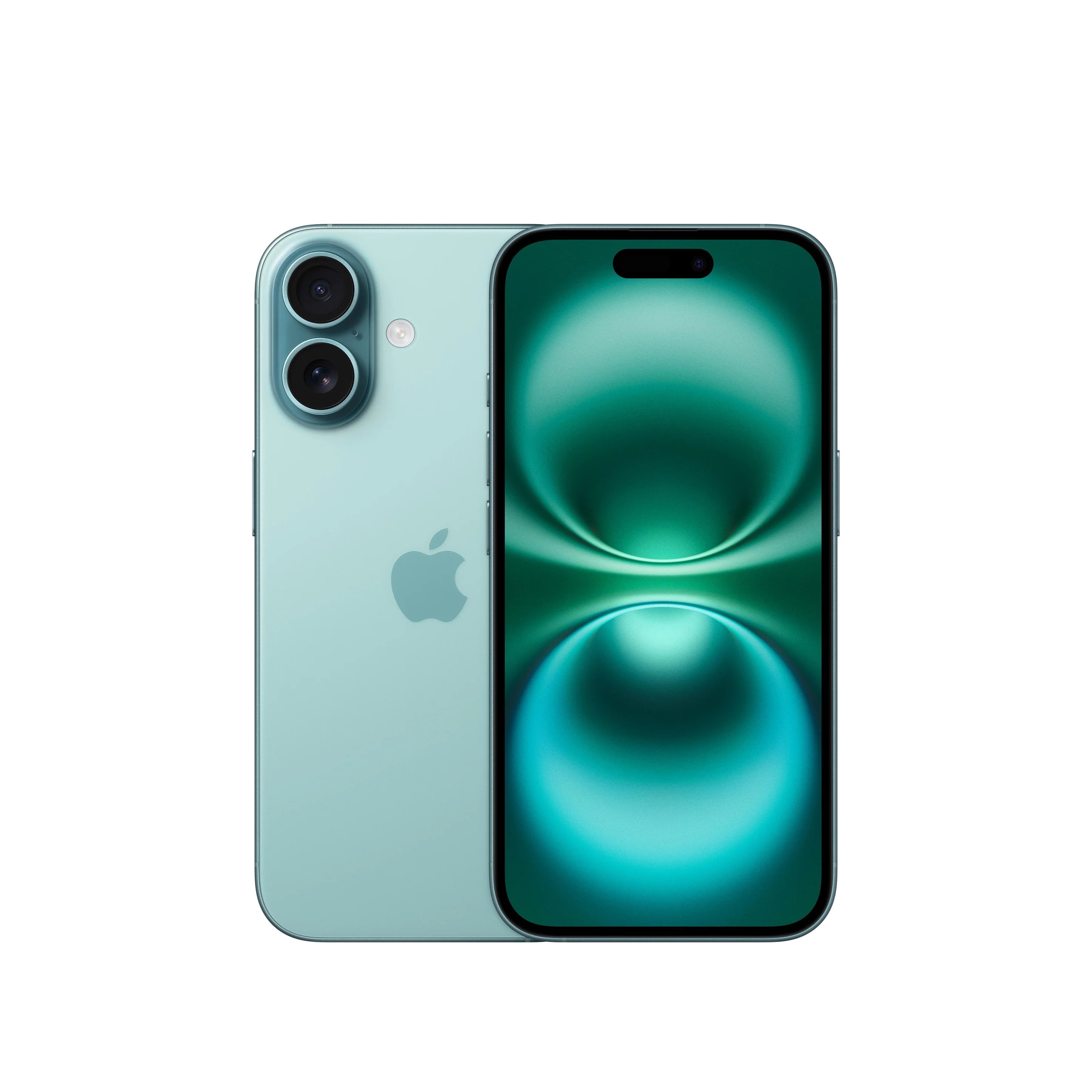 iPhone 16 & 16 Plus