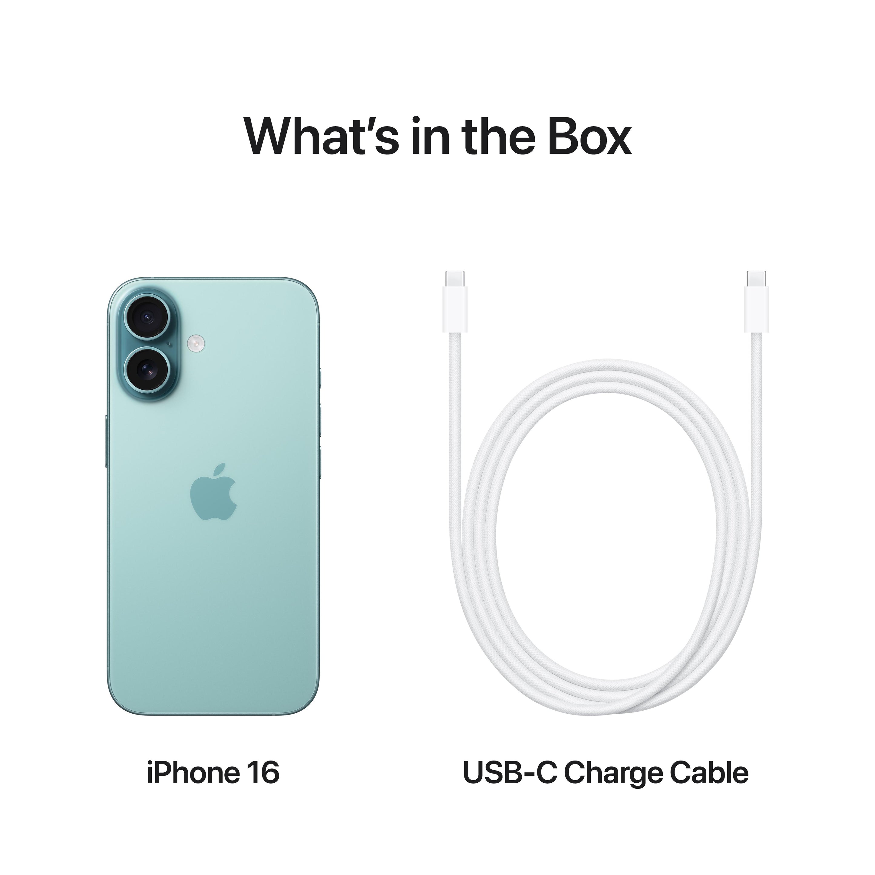 iPhone 16 & 16 Plus